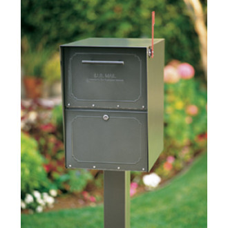 Locking Curbside Mailbox with Pedestal - Medium Capacity